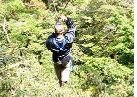 Nel migliore Zip Line Canopy Tour a Panama, scivolando al di sopra della foresta da un albero all'altro nella regione Palo Alto di Boquete
